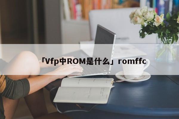 「Vfp中ROM是什么」romffc